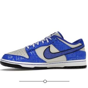 NWT Nike Youth Dunk Low GS DV2203 400 Jackie Robinson